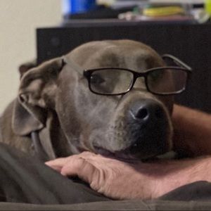 Meet your Posher, Cyndi